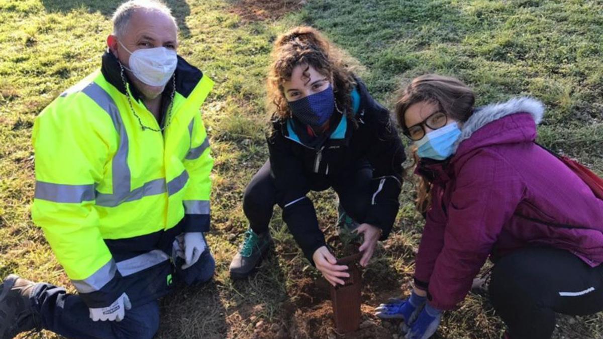 El repoblament popular d’arbres a la zona de Can Morral del Riu aconsegueix plantar 200 alzines | AJUNTAMENT D’ABRERA