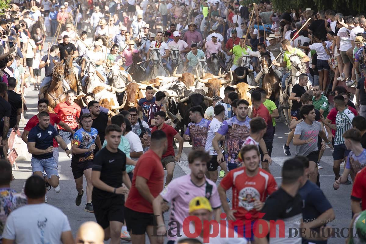 El segundo encierro de las Fiestas de Moratalla se salda con un herido