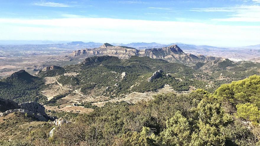 Una planta elèctrica solar a Castalla - Una mala notícia