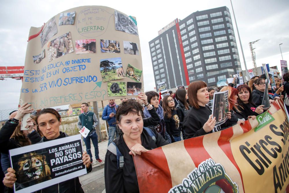 Protesta contra un circo con animales en Alfafar