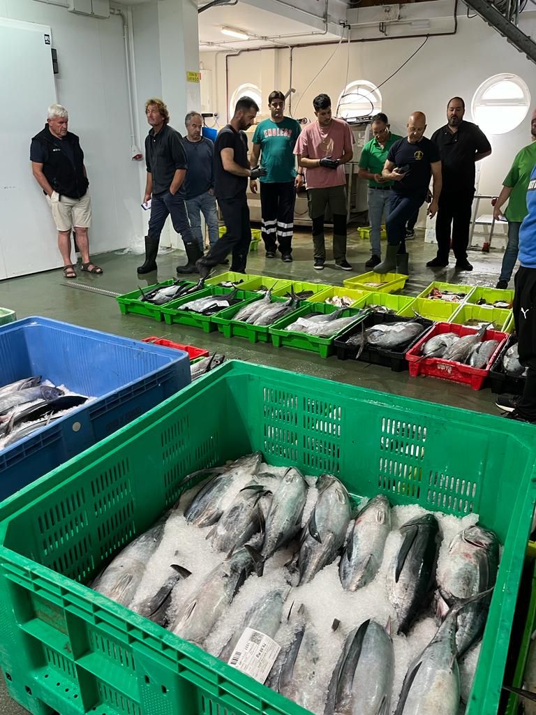 Casa Poli, de Puertas de Vidiago, se lleva el primer bonito de la costera de Llanes, a catorce euros el kilo