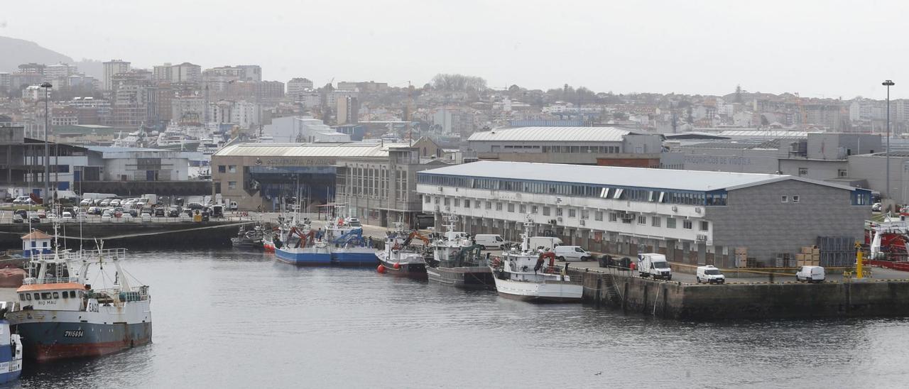 Vista general del Puerto de
 Vigo. |   // RICARDO GROBAS