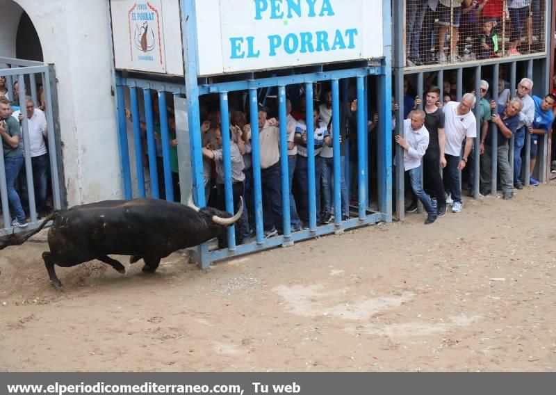 Fiestas patronales de Santa Quitèria de Almassora I