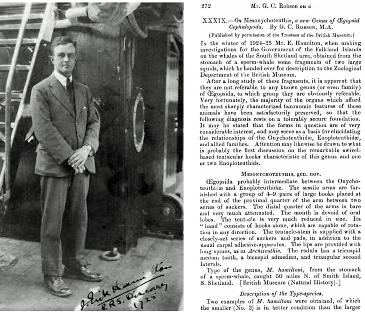 El británico James Erik Hamilton fue el primero en localizar un ejemplar. A la derecha, extracto de la revista científica que divulgó el hallazgo