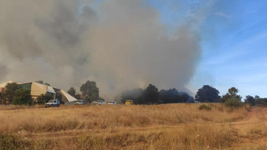 Bomberos de Aliste y efectivos de Medio Ambiente de la Junta de Castilla y León apagando el fuego