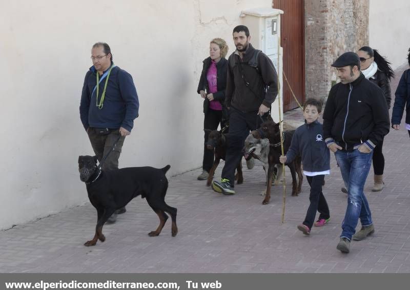 GALERÍA DE FOTOS - Romería Magdalena 2014 (2)