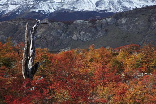 Parque Nacional Tierra del Fuego