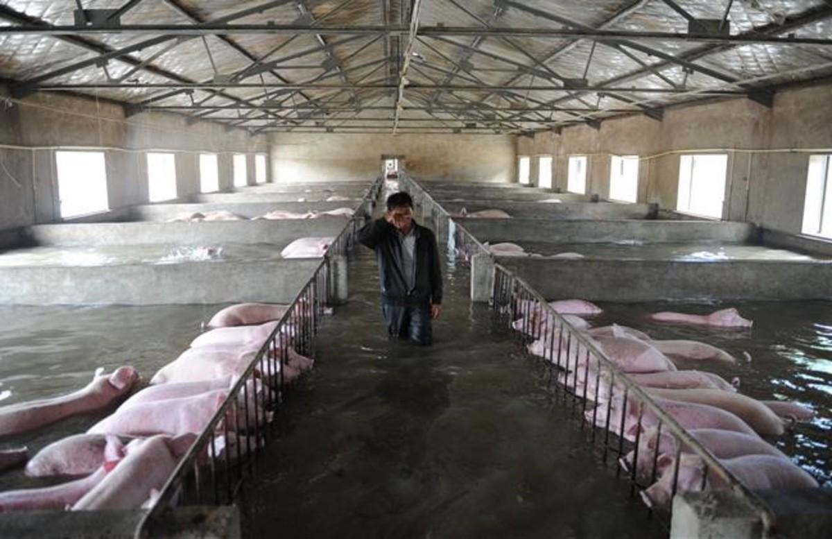 abertran34579018 an employee wipes away tears as he walks through a flooded f160705101633