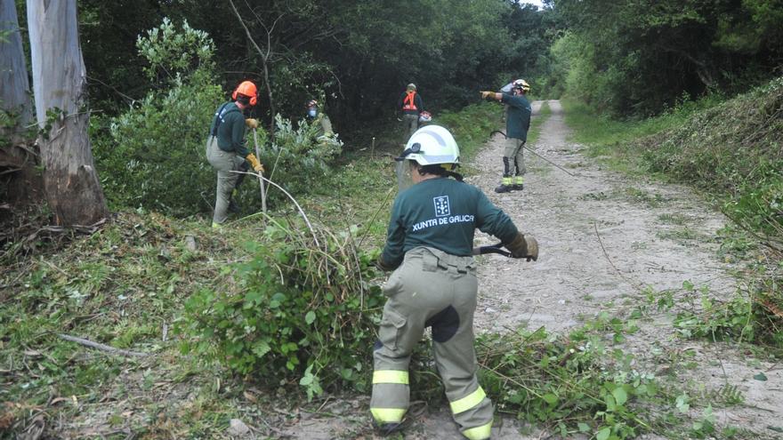 La Xunta reforzará la vigilancia sobre las fincas para que estén libres de maleza