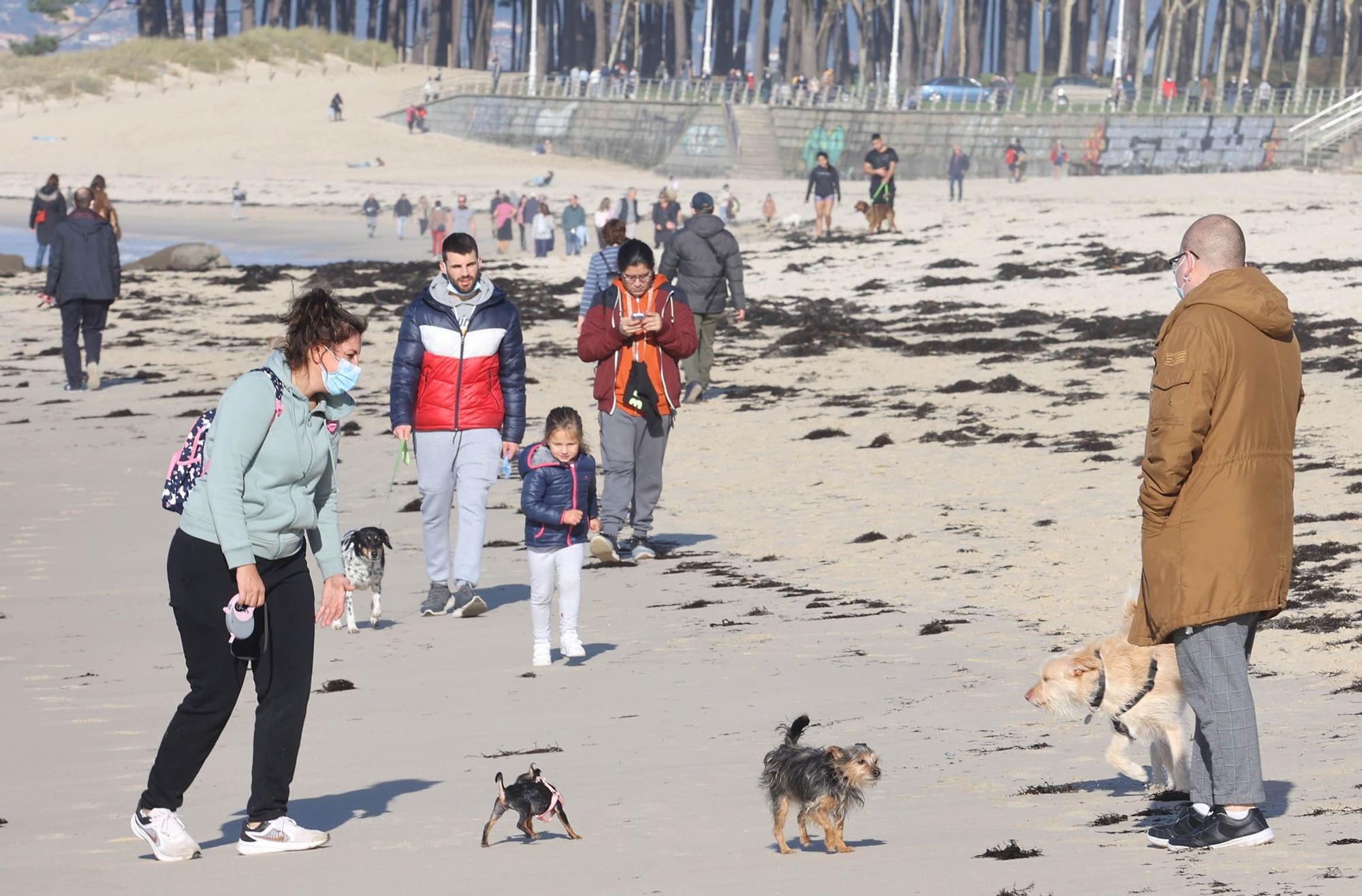 Vigueses y mascotas disfrutan del buen tiempo en Samil