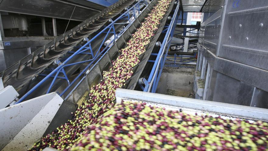La producción ecológica crece en las tres comarcas por el tirón de la Canal de Navarrés