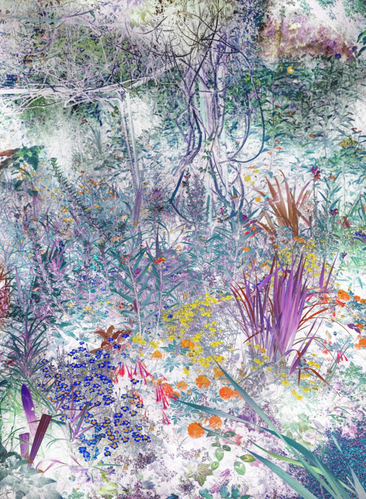 '04#Giberny' de José Quintanilla, obra ganadora del premio internacional de fotografía.