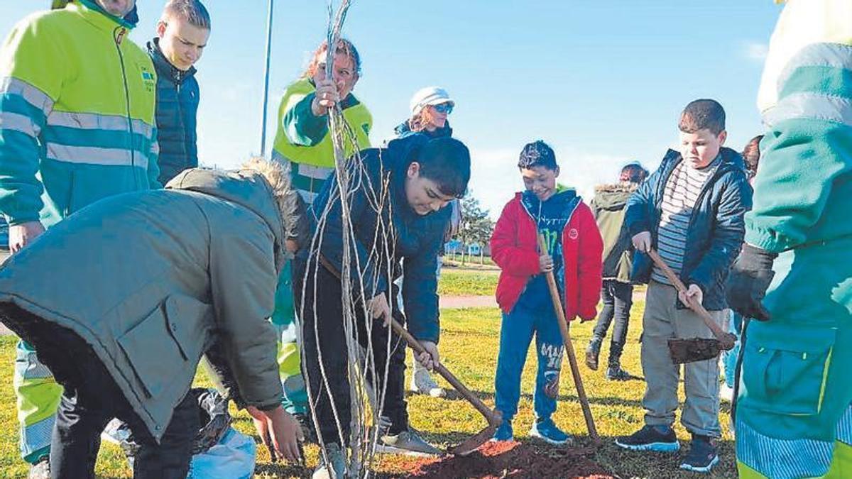 L’Ajuntament impulsa diferents accions com l’eliminació del colomar la plantació d’arbres i la divulgació per a la conscienciació.