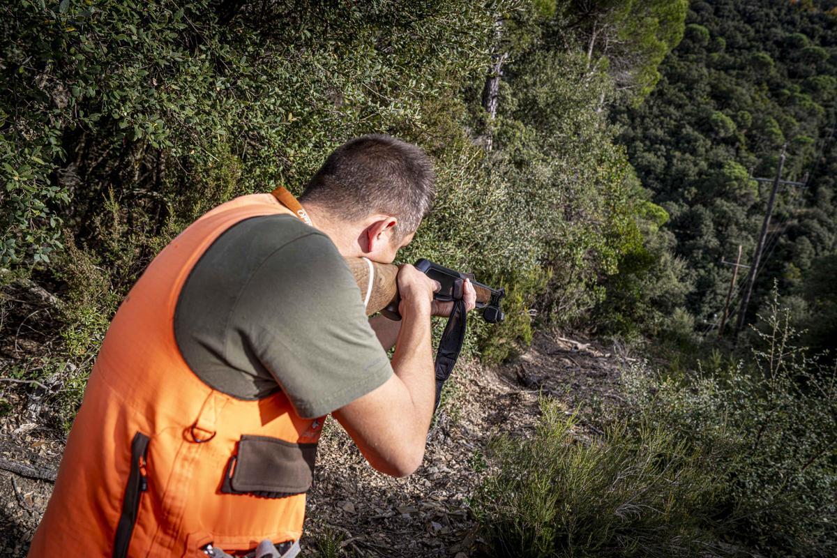 Así funciona una batida de caza en Girona: seguridad, convivencia y control del jabalí