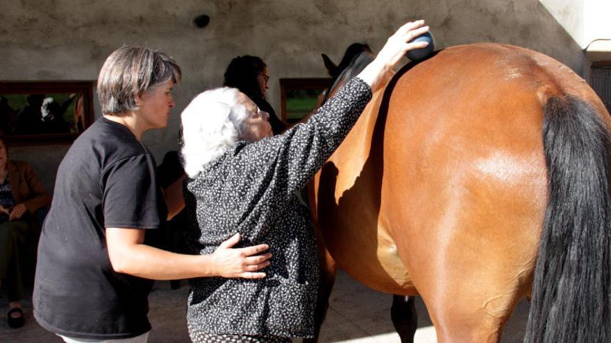 Una usuària del centre de dia fa un exercici de psicomotricitat amb un cavall