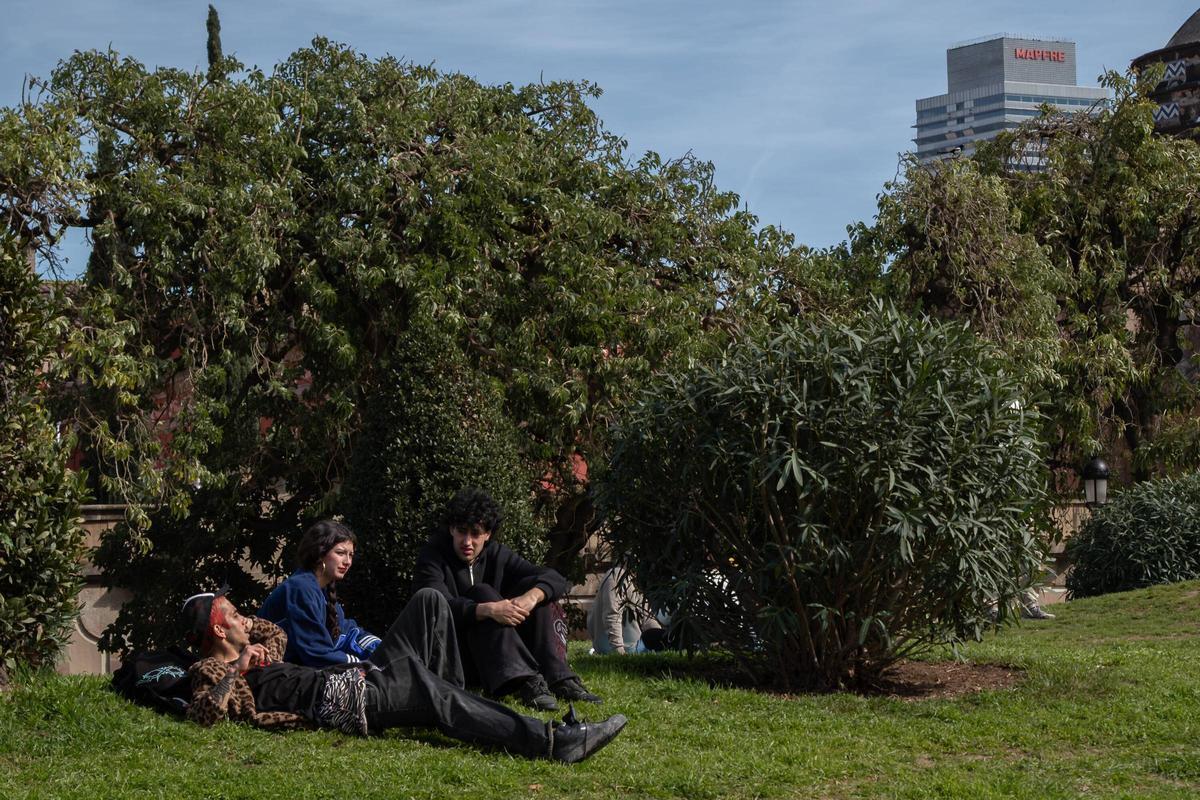 Un grupo de jóvenes, descansando en un parque de Barcelona.