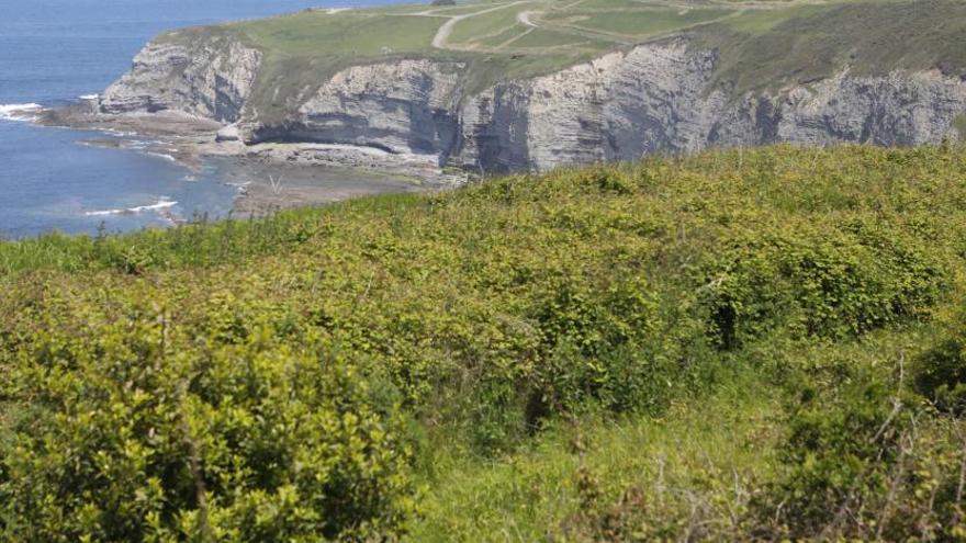 Donde se practica sexo al aire libre en Asturias: así funciona el &quot;dogging&quot;