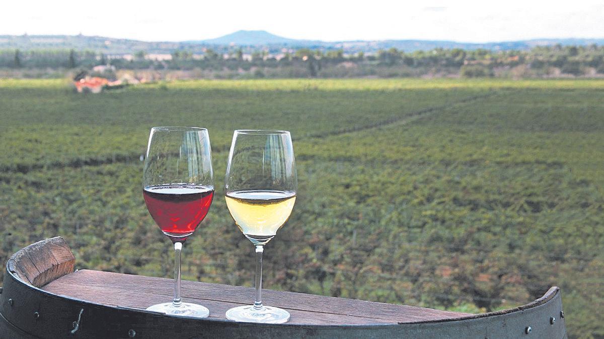 Dos copas de vino, una de tinto y otra de blanco, una frente a otra