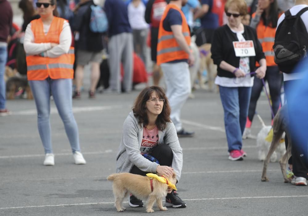 Correcán 2017 en A Coruña