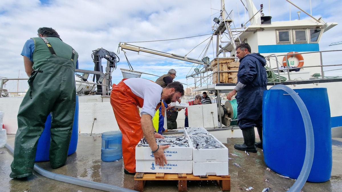 Los pescadores de una embarcación murciana de cerco "saltan" las cajas de pescado en la lonja