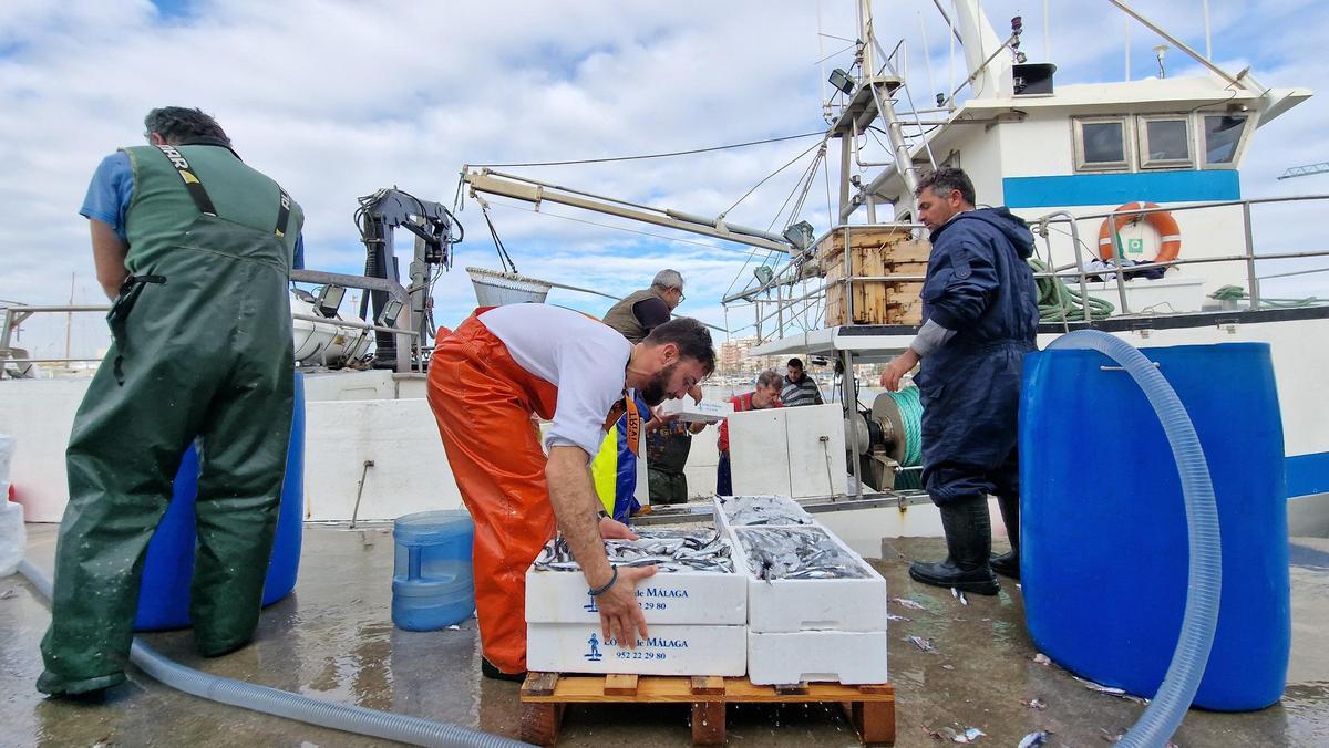 Los pescadores de una embarcación murciana de cerco &quot;saltan&quot; las cajas de pescado en la lonja