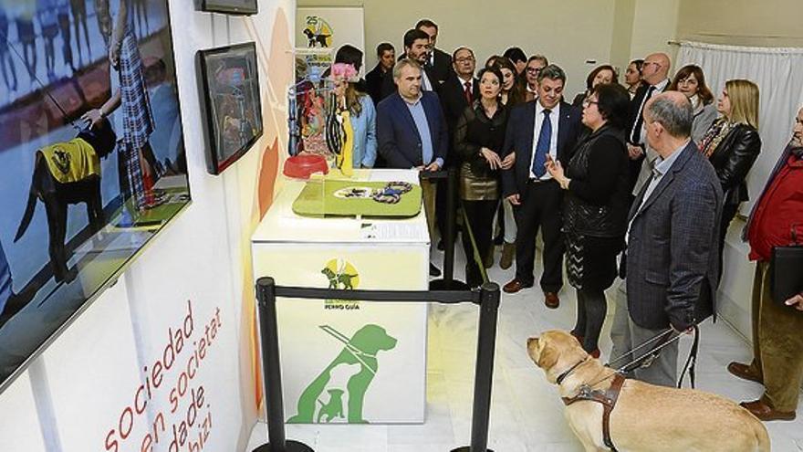 Una exposición repasa la labor de los perros guía de la ONCE en Badajoz