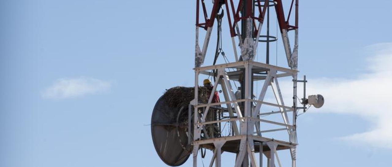 Un operario en la torre de telefonía de la calle Ciudad de Toro.