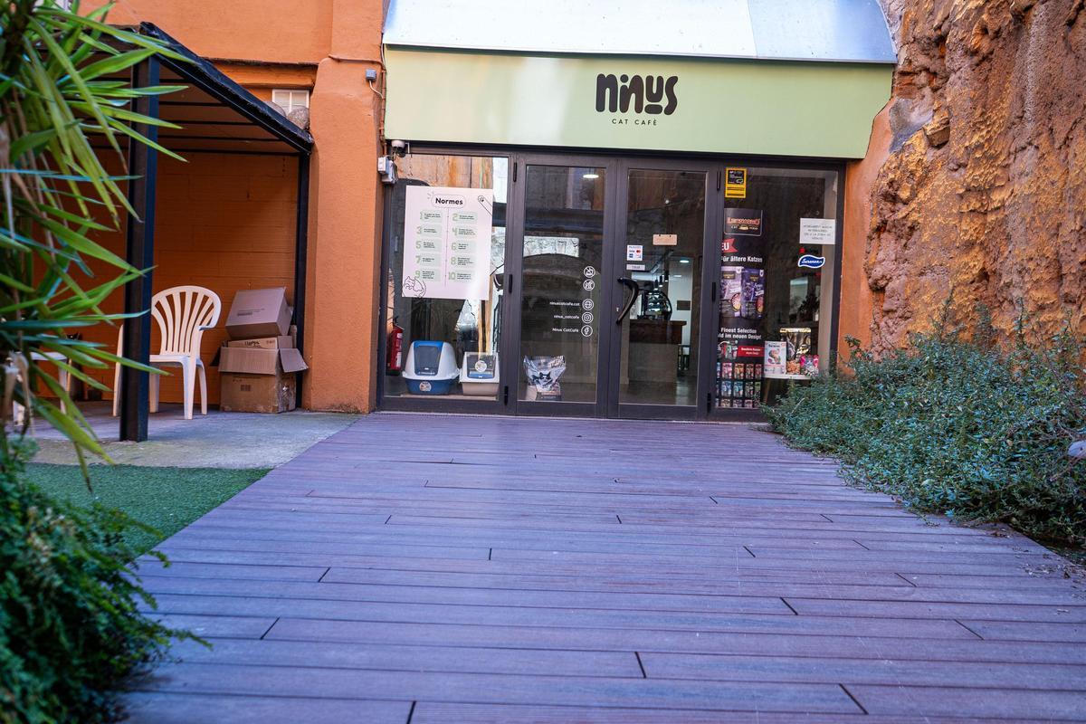 Accés al Ninus CatCafè
