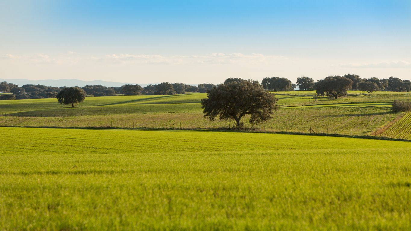 Campos de la Dehesa de Extremaduracon sus tierras de cultivo