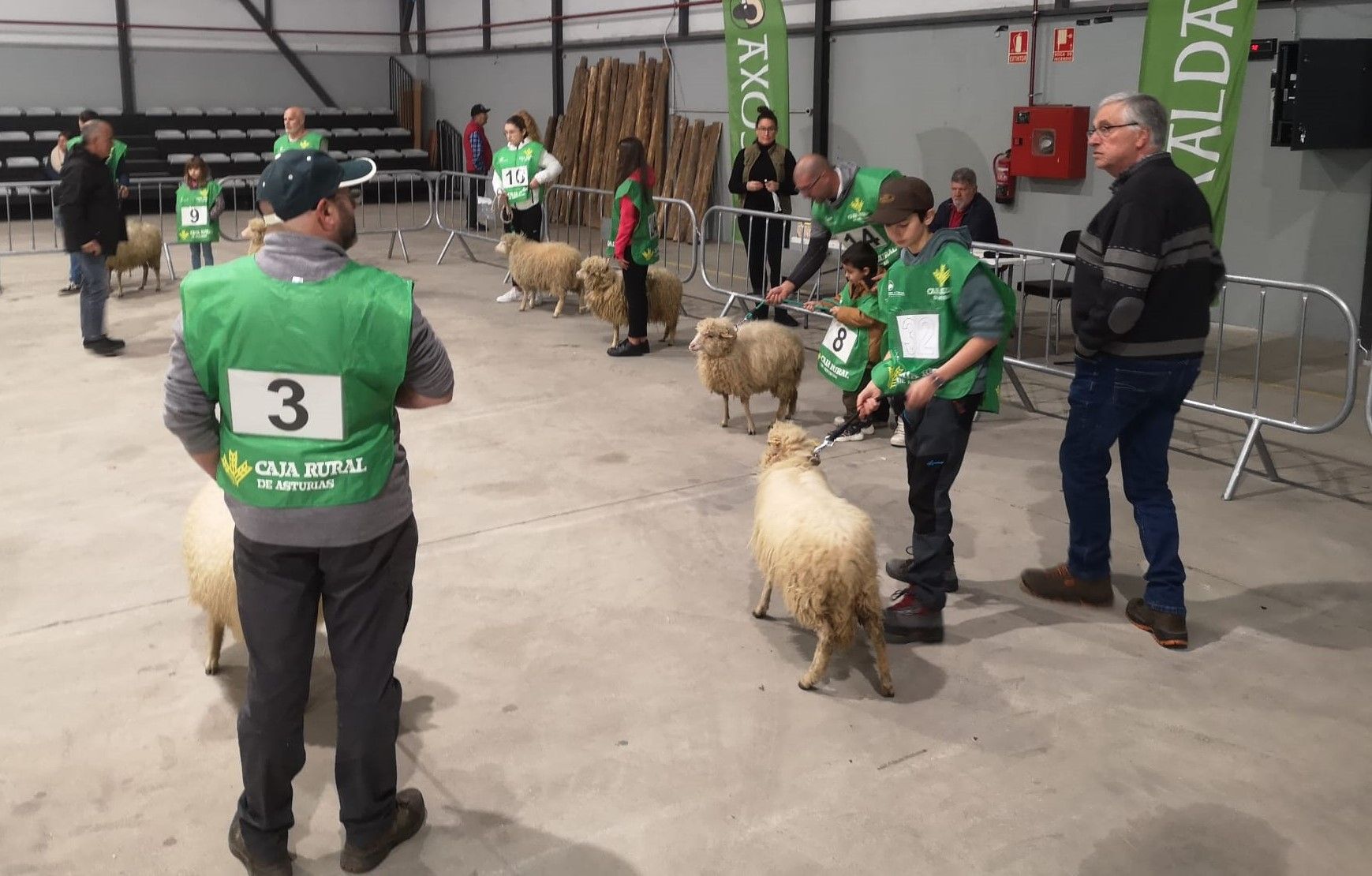 La feria de ganado ovino de Laviana reúne a 250 animales y 24 ganaderías