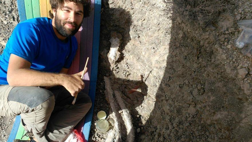 El paleontólogo Eduardo Medrano Aguado junto a varias costillas del dinosaurio ya protegidas antes de su extracción.