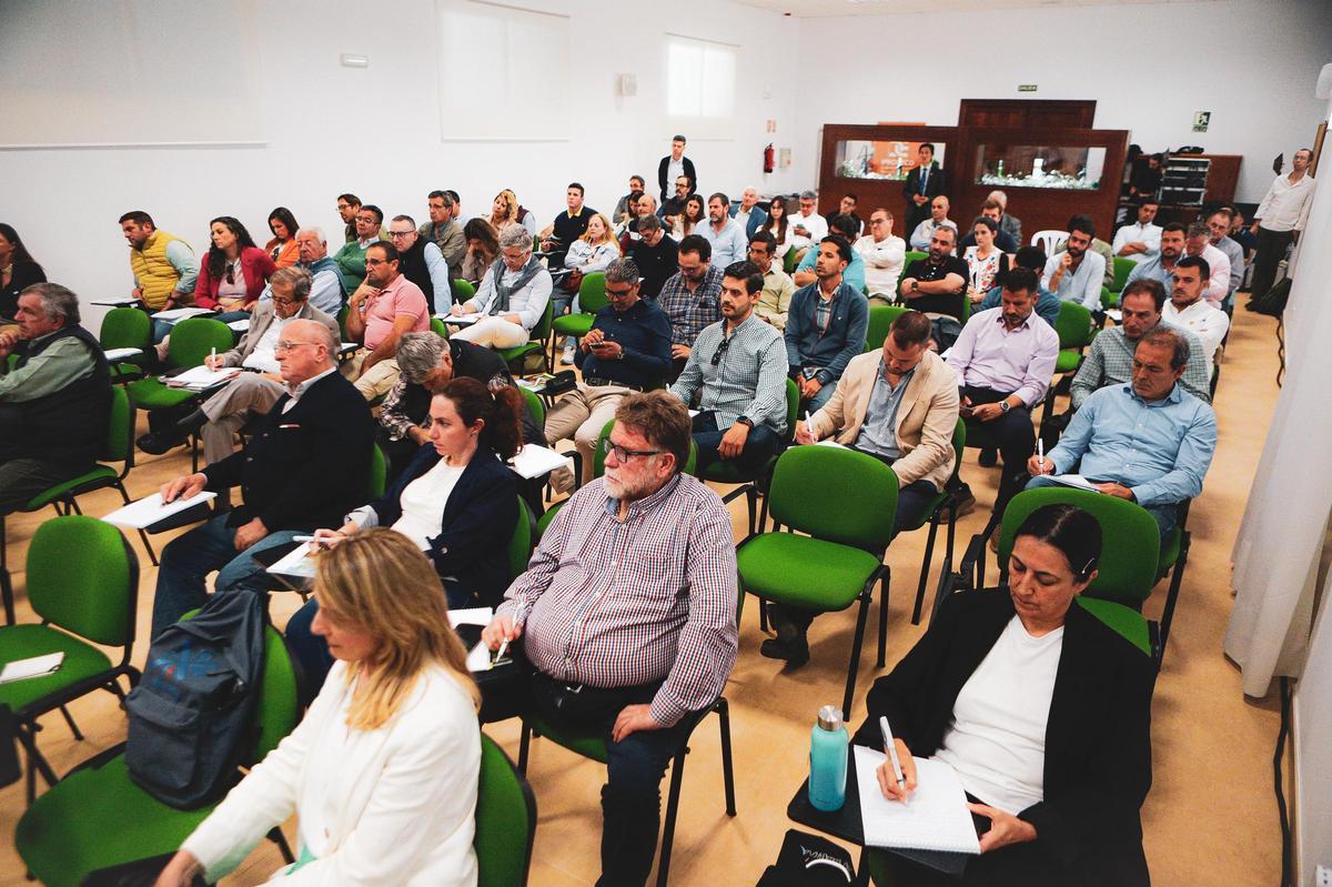 Los expertos señalan la digitalización como “barrera” ante los efectos del cambio climático en el olivar.