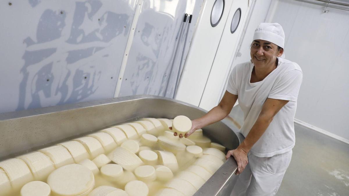 Cristina González hizo el queso de sidra que "no se podía hacer" en Salas: "Somos los únicos que incorporamos la bebida regional a todo el proceso de elaboración"