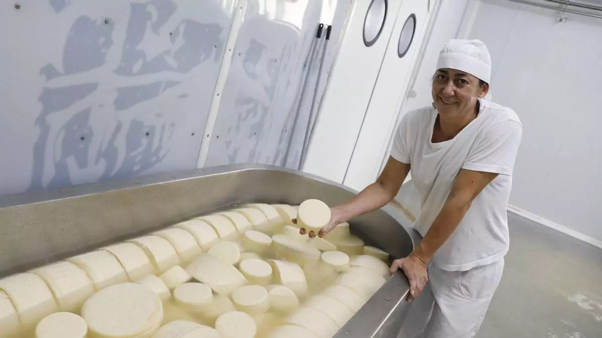Cristina González hizo en Salas el queso de sidra que "no se podía hacer": "Somos los únicos que incorporamos la bebida regional a todo el proceso de elaboración"
