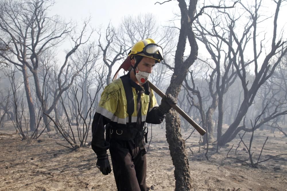 Incendi forestal a Blanes