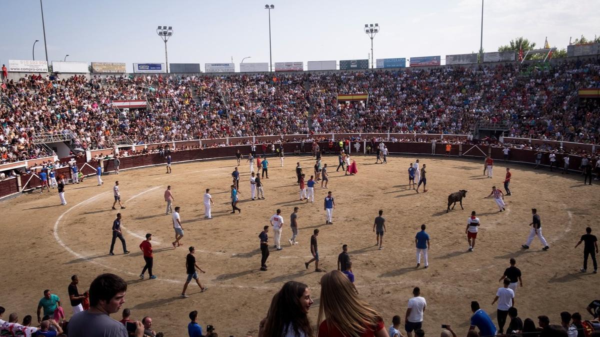 Final del encierro de San Sebastián de los Reyes.