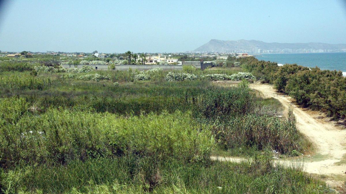 Vista aérea de los terrenos de la partida del Brosquil en Cullera, con la montaña del municipio de la Ribera Baixa al fondo.