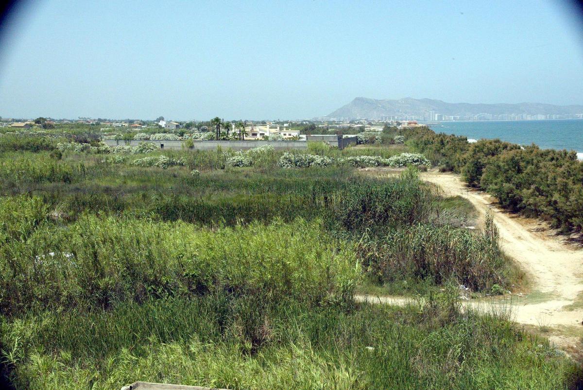 Vista aérea de los terrenos de la partida del Brosquil en Cullera, con la montaña del municipio de la Ribera Baixa al fondo.