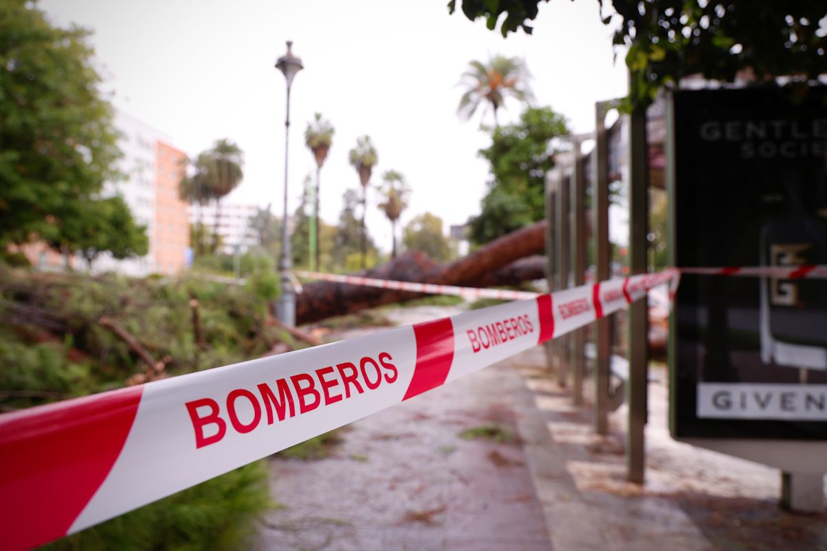 La borrasca Claudia deja un rastro de incidencias