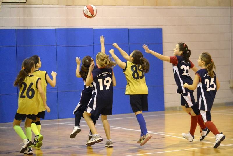 DÍA DEL MINIBASKET. Partidos de las 9:00 horas