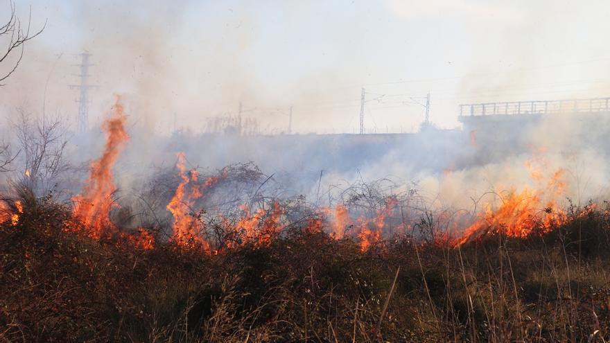 Arde una zona de cañas y maleza en un barranco de Beniparrell