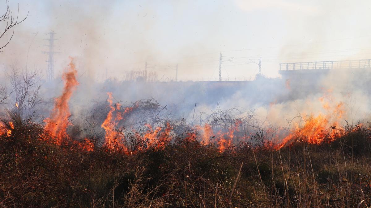 Incendio de cañar en un barranco de Beniparrell