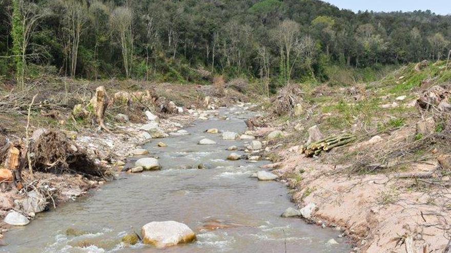 Un dels punts on s&#039;ha portat a terme la tala a la riera d&#039;Arbúcies