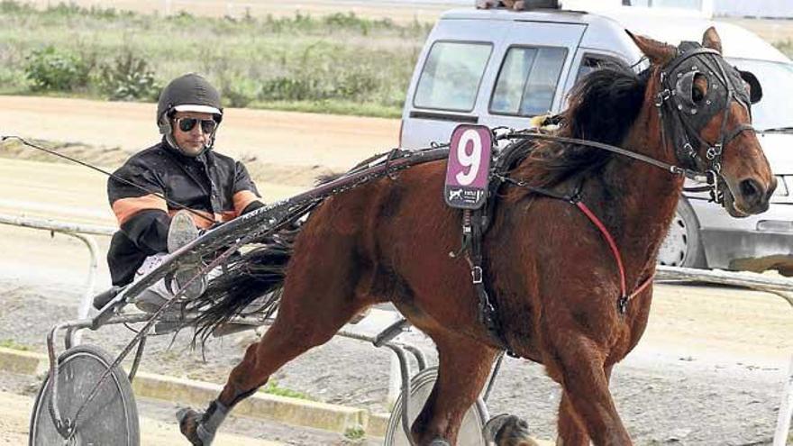 Best IN ganando en Manacor, con Guillem Andreu.