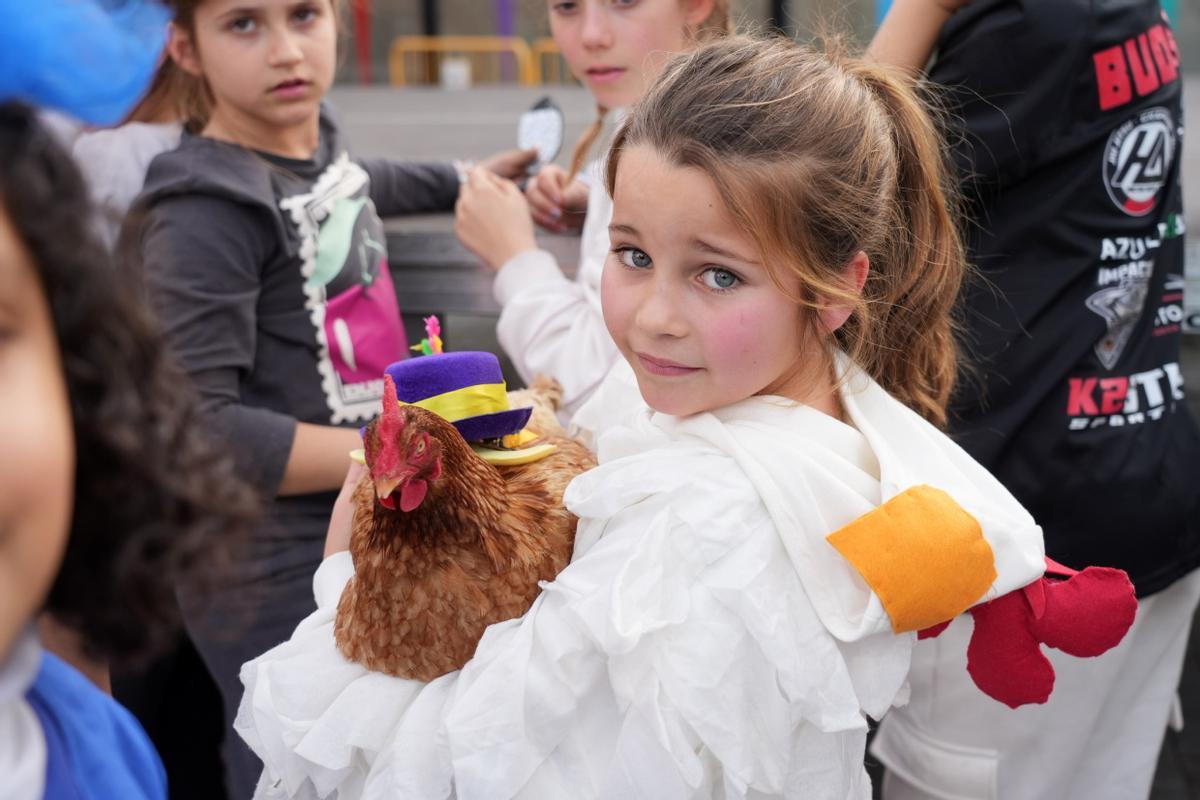 Mascotas disfrazadas en el Carnaval del Grau de Castelló. ¿Has participado? Búscate en esta divertida iniciativa