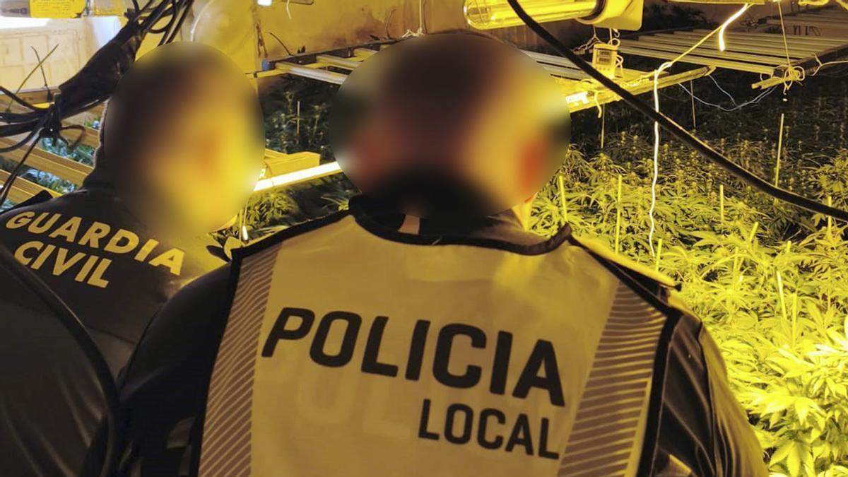 Cae un grupo dedicado al cultivo de marihuana en una casa de Calasparra
