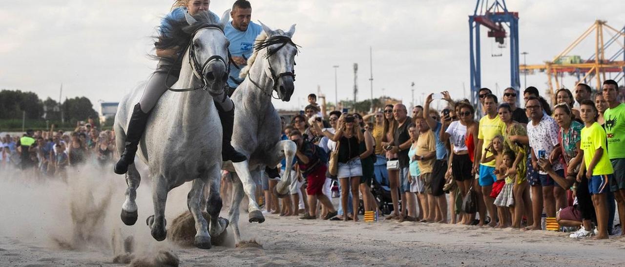 Los caballos no saldrán a hacer &quot;Les Corregudes de Joies&quot;