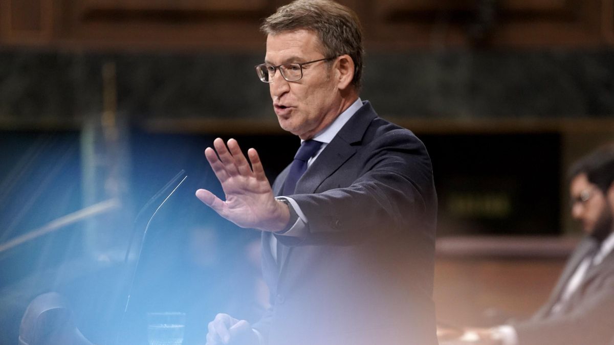 Alberto Núñez Feijóo en el Congreso de los Diputados.