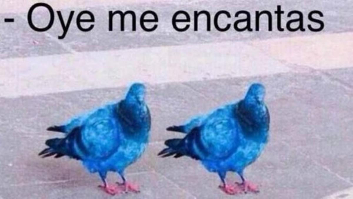 Los memes del doble check de Whatsapp Los memes del doble check de Whatsapp