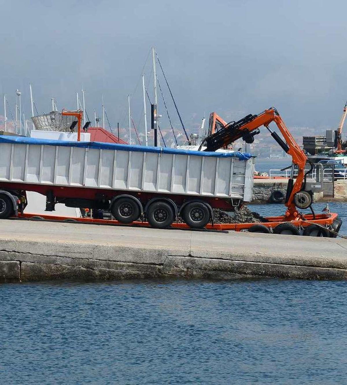 Los bateeiros separan el mejillón para la exportación mientras se recrudece la toxina